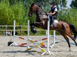 _DSC7701_web